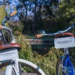 The Magnolia Hotel & Spa